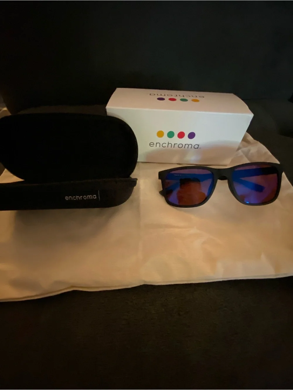Never Used Enchroma Matte Black Sunglasses with Color Blind Lenses